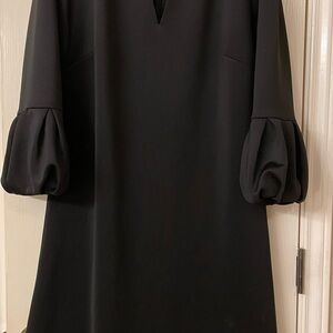 Elegant Simple and Sophisticated Black Dress New York and Company XL